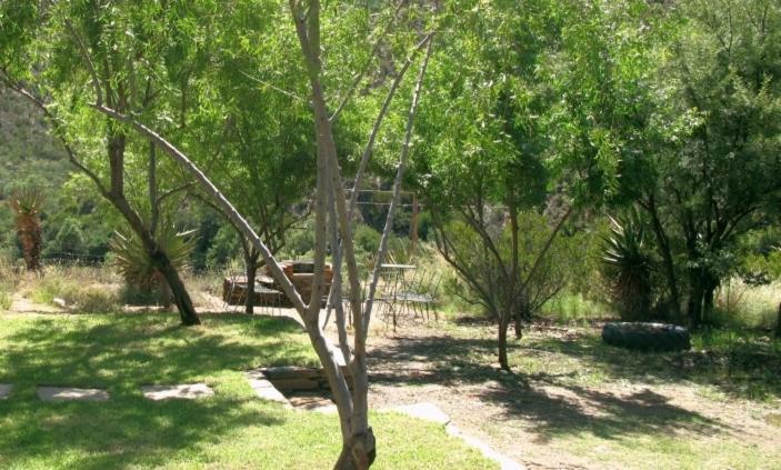 Hotel The Old School House Calitzdorp Exterior foto